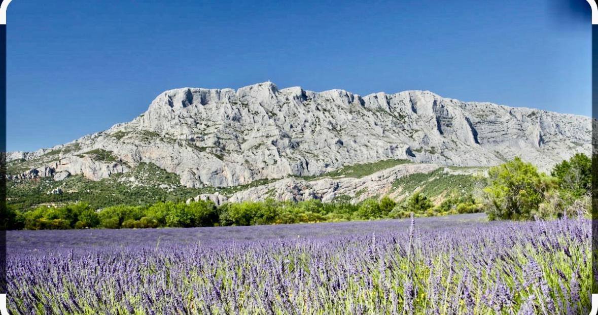 Le Clos D'Aix Studio 102 Parking Et Piscine Gratuite Aix-en-Provence Exteriör bild